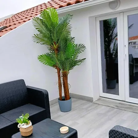 Supertubos * ペニシェ